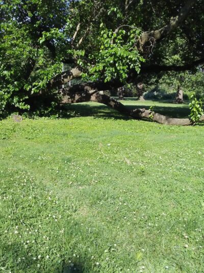 Disston Park - Philadelphia, PA