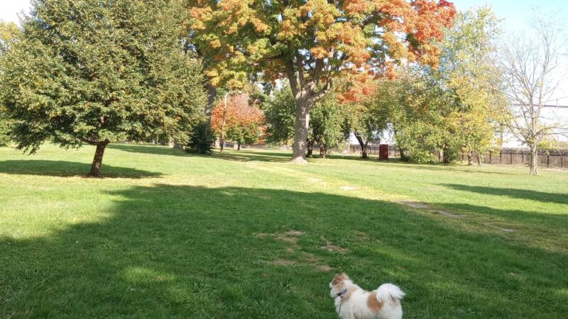 Disston Park - Philadelphia, PA