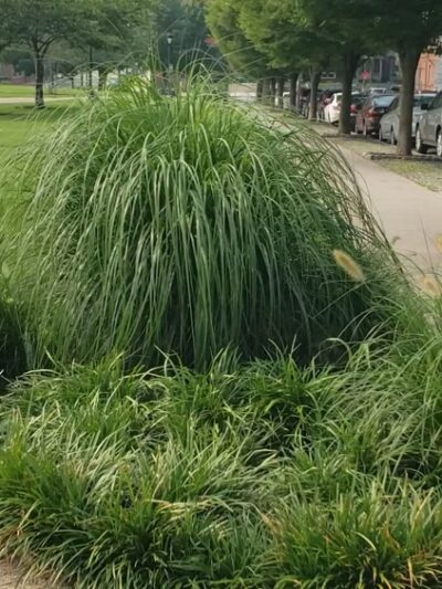 Drexel Park - Philadelphia, PA