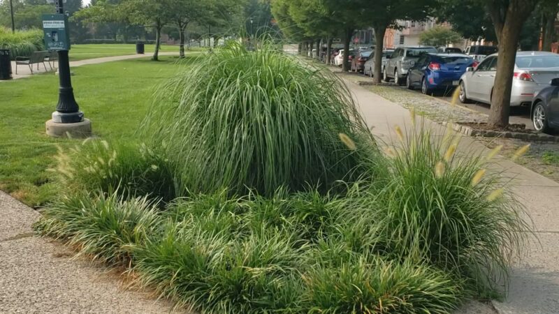 Drexel Park - Philadelphia, PA