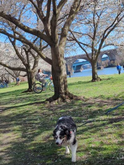 East Fairmount Park - Philadelphia, PA