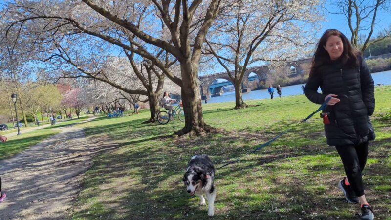 East Fairmount Park - Philadelphia, PA