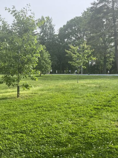 Fernhill Park - Philadelphia, PA