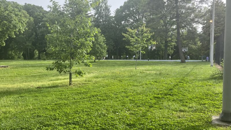 Fernhill Park - Philadelphia, PA