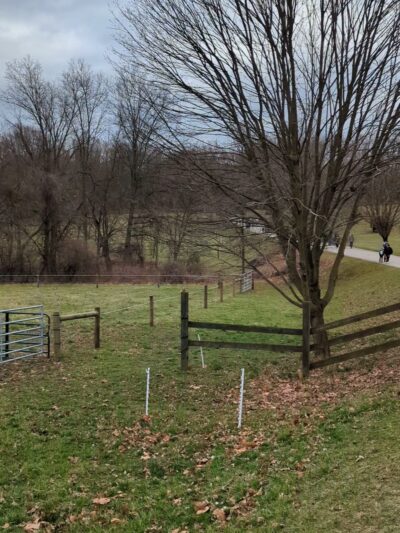 Fox Chase Farm - Philadelphia, PA