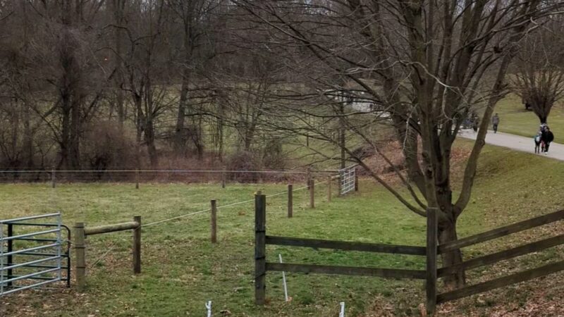 Fox Chase Farm - Philadelphia, PA