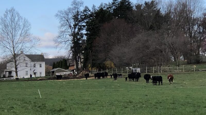Fox Chase Farm - Philadelphia, PA