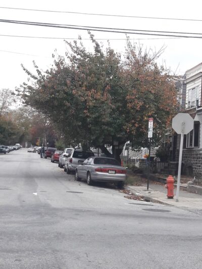 Frankford Playground - Philadelphia, PA