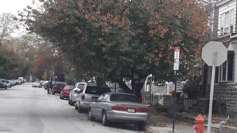 Frankford Playground - Philadelphia, PA