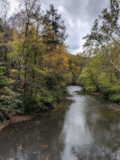 Friends of Carpenter’s Woods - Philadelphia, PA