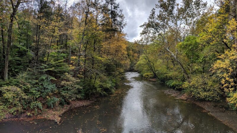 Friends of Carpenter’s Woods - Philadelphia, PA