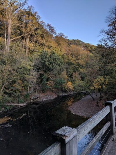 Friends of Carpenter’s Woods - Philadelphia, PA