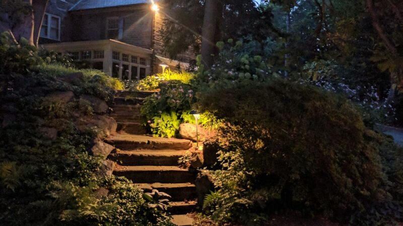 Friends of Carpenter’s Woods - Philadelphia, PA