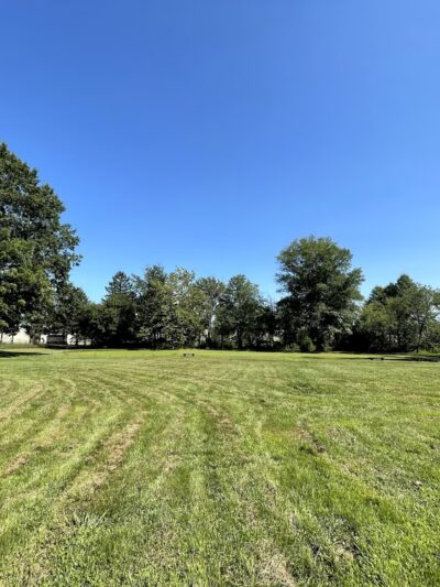 Friends of Fluehr Park - Philadelphia, PA