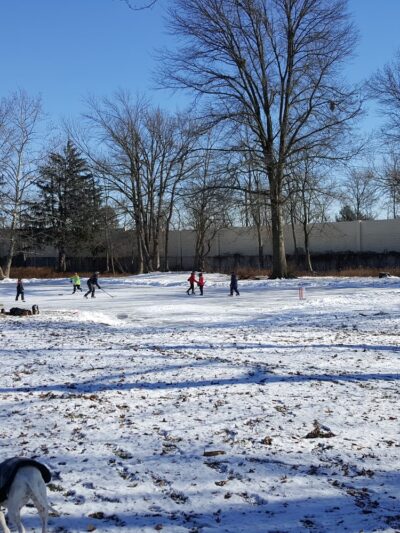 Friends of Fluehr Park - Philadelphia, PA