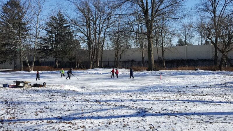 Friends of Fluehr Park - Philadelphia, PA