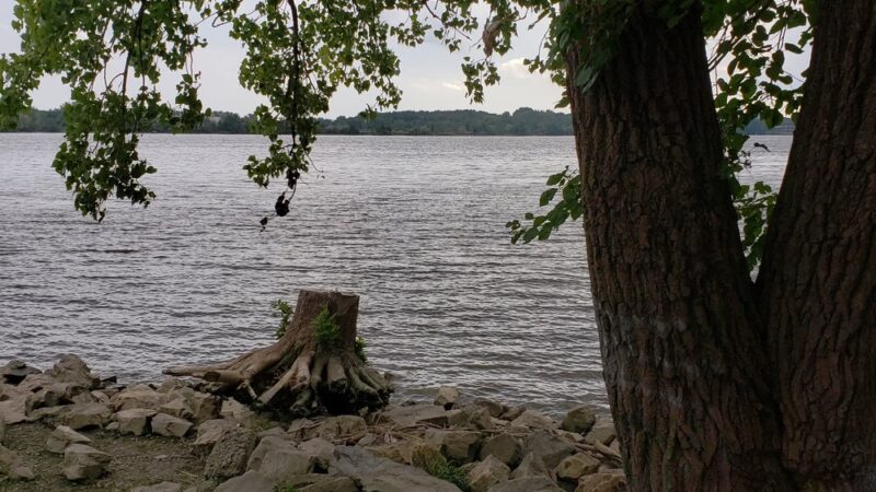 General Pulaski Park - Philadelphia, PA