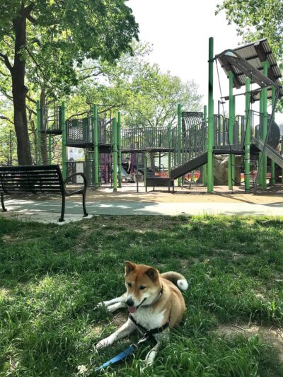 Gold Star Park - Philadelphia, PA