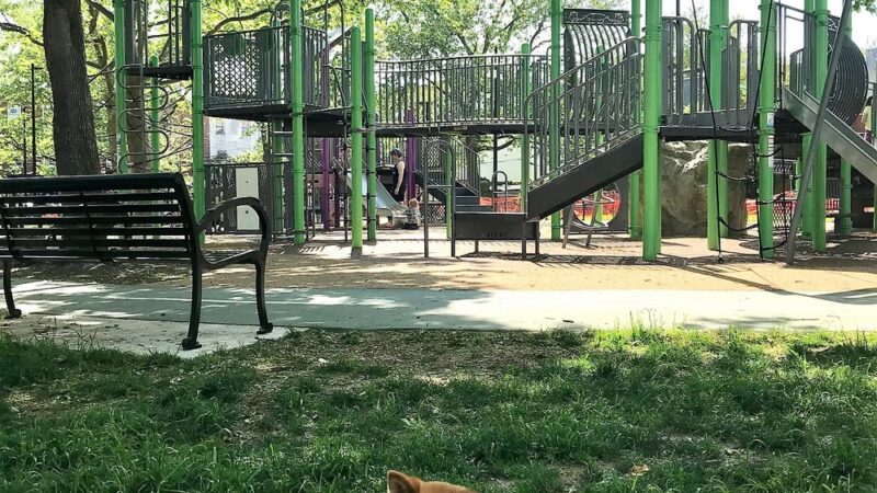 Gold Star Park - Philadelphia, PA