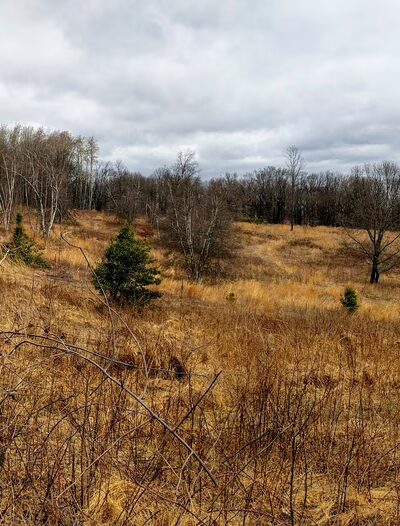 Houston Meadow - Philadelphia, PA