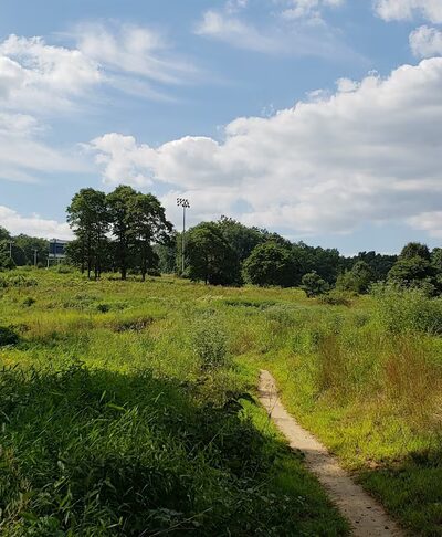 Houston Meadow - Philadelphia, PA