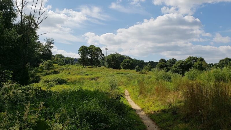 Houston Meadow - Philadelphia, PA