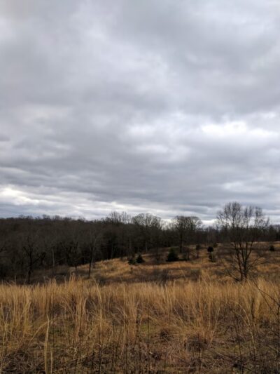 Houston Meadow - Philadelphia, PA
