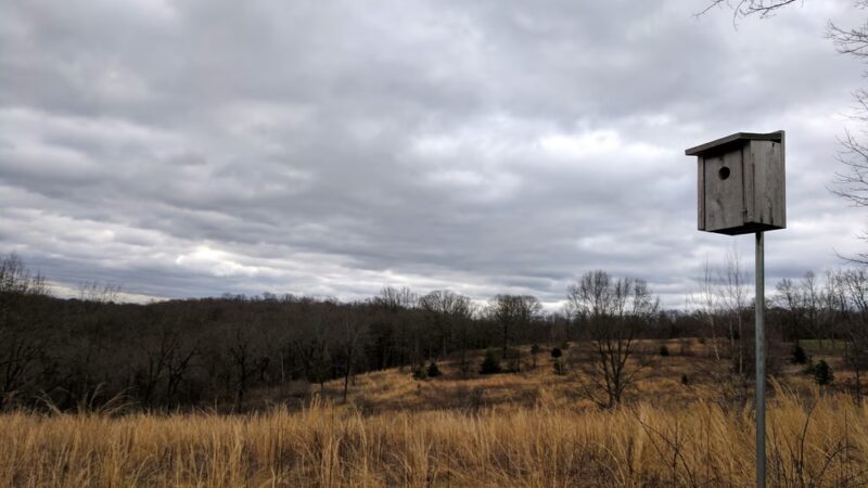 Houston Meadow - Philadelphia, PA