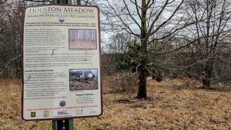 Houston Meadow - Philadelphia, PA