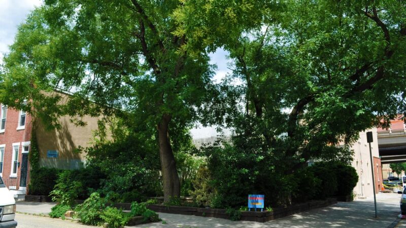 Howard & Reed Park - Philadelphia, PA