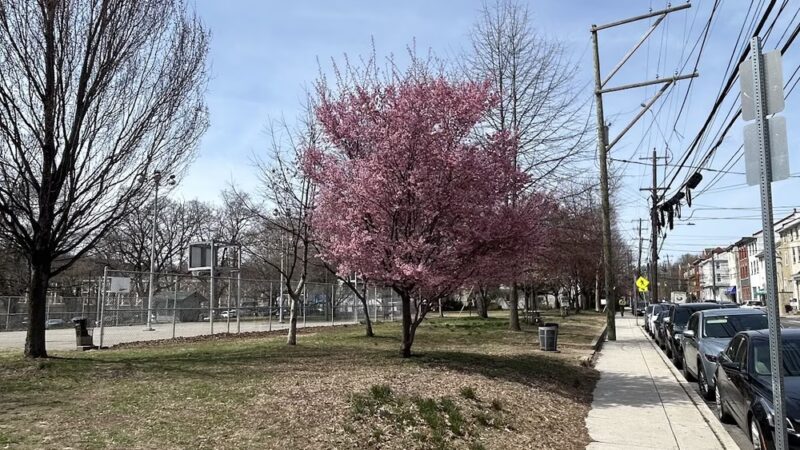 Inn Yard Park - Philadelphia, PA