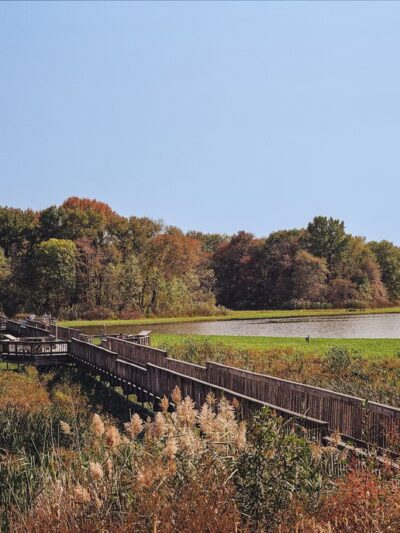 John Heinz National Wildlife Refuge at Tinicum - Philadelphia, PA