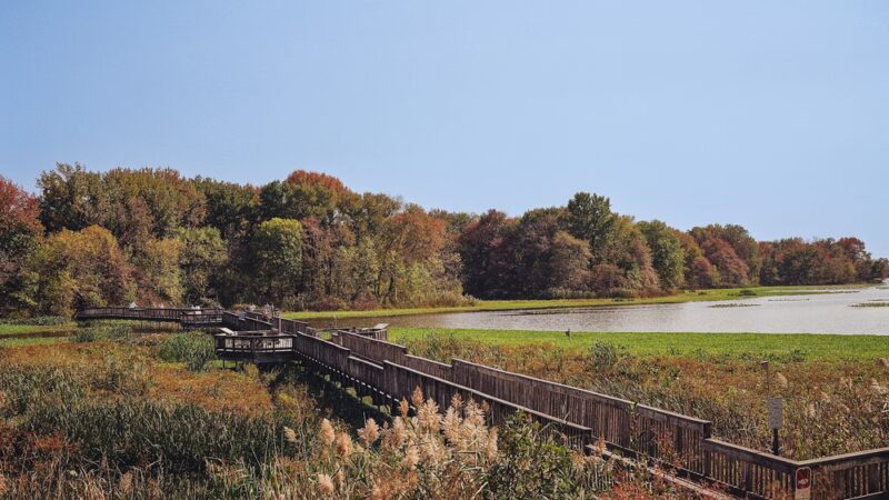 John Heinz National Wildlife Refuge at Tinicum - Philadelphia, PA