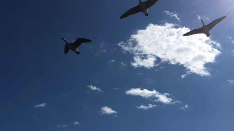 John Heinz National Wildlife Refuge at Tinicum - Philadelphia, PA