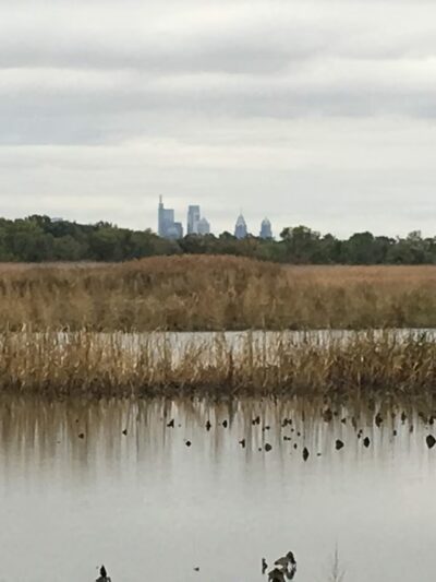 John Heinz National Wildlife Refuge at Tinicum - Philadelphia, PA