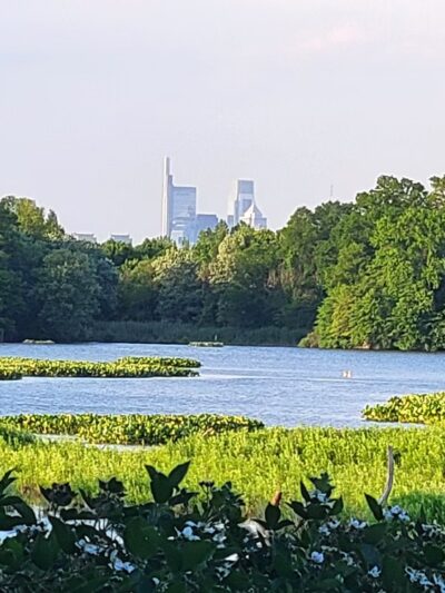 John Heinz National Wildlife Refuge at Tinicum - Philadelphia, PA