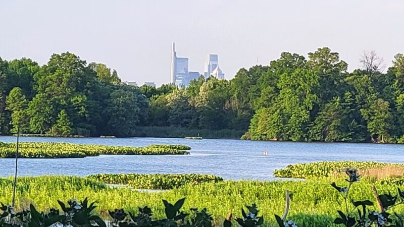 John Heinz National Wildlife Refuge at Tinicum - Philadelphia, PA