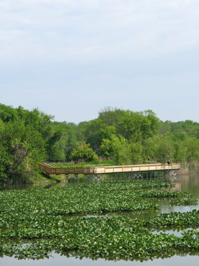 John Heinz National Wildlife Refuge at Tinicum - Philadelphia, PA