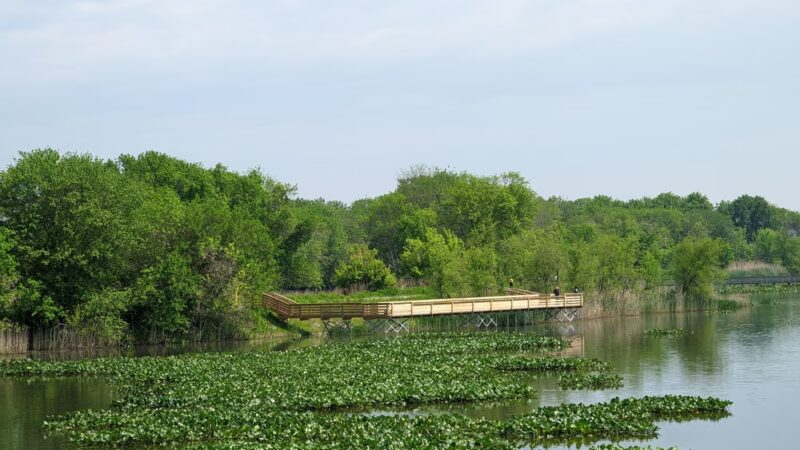 John Heinz National Wildlife Refuge at Tinicum - Philadelphia, PA
