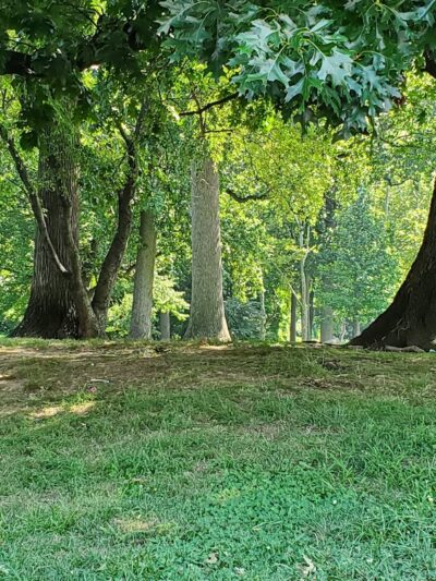 Juniata Park - Philadelphia, PA