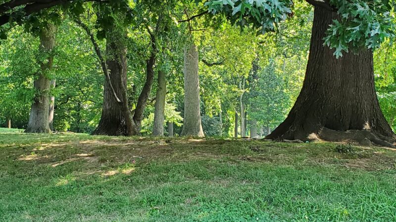 Juniata Park - Philadelphia, PA