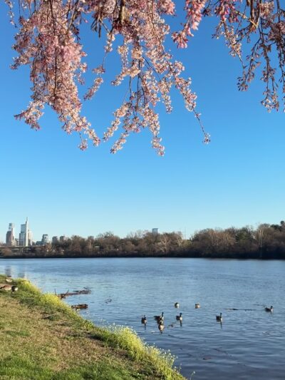 Kelly Drive Park - Philadelphia, PA
