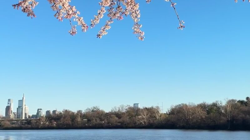 Kelly Drive Park - Philadelphia, PA