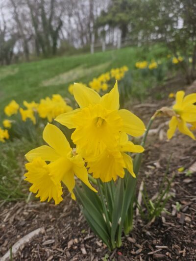 Kemble Park - Philadelphia, PA