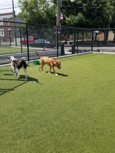 Lanier Playground - Philadelphia, PA