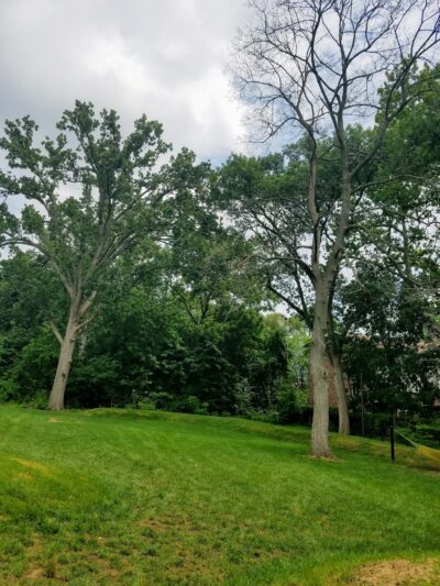 Lovett Park - Philadelphia, PA