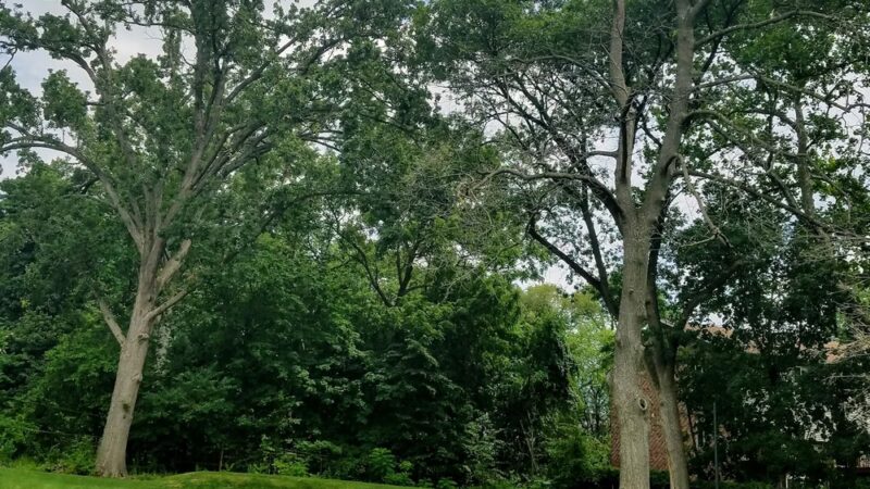 Lovett Park - Philadelphia, PA