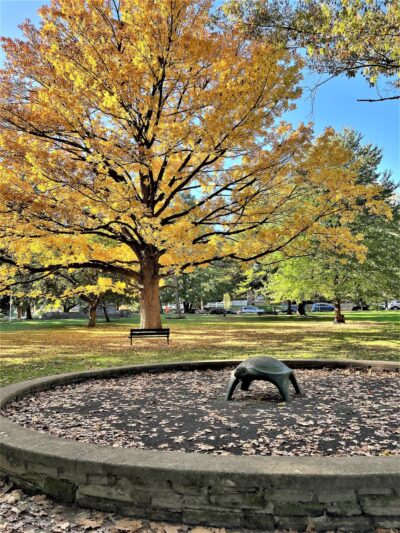 McMichael Park - Philadelphia, PA