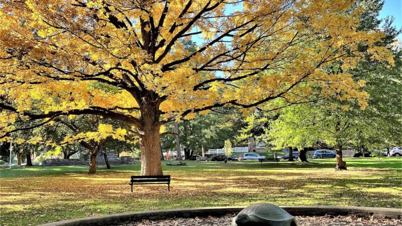 McMichael Park - Philadelphia, PA