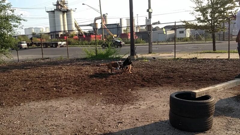 Monk's Dog Run - Philadelphia, PA